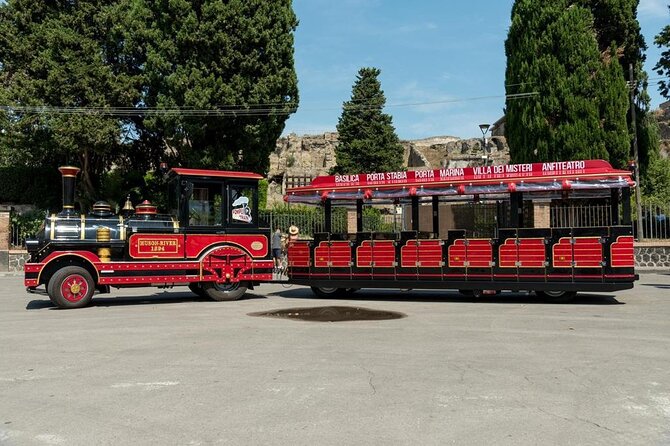 Pompeii Pass Skip the Line Ticket and Guided Tour - Accessibility and Participation