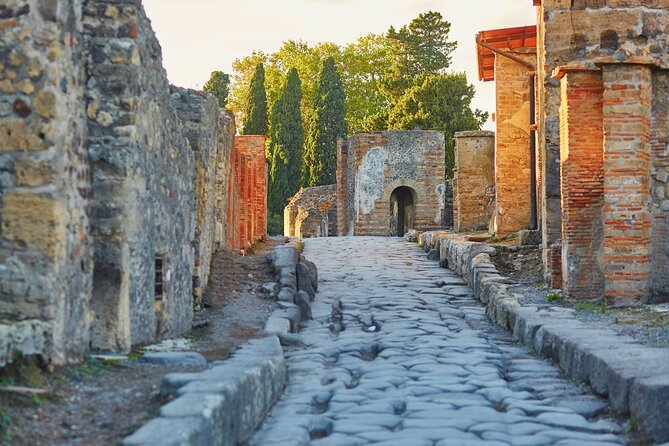 Pompeii Private Guided Tour With Tickets From Amalfi Coast - Inclusions