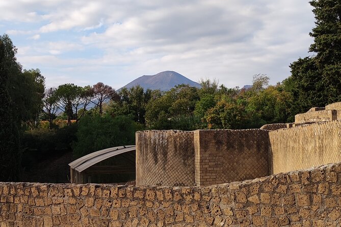 Pompeii: Tour With Archaeologist Guide & Skip-The-Line Entry - Tour Features