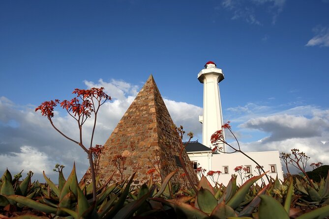 Port Elizabeth Safari and City Tour From Gqeberha - City Exploration