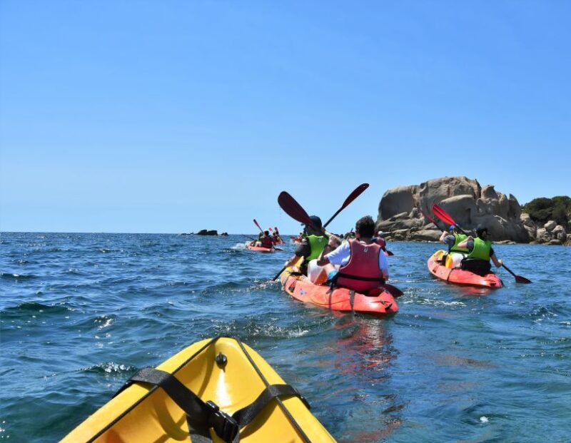 Porticcio: Guiding Kayaking Tour - Experience Highlights