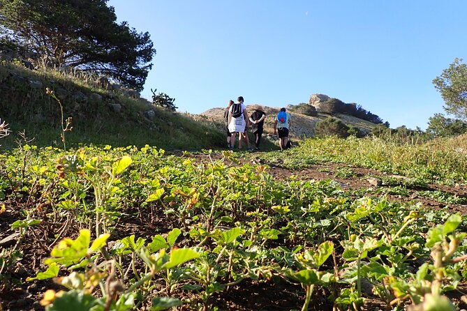 Porto Santo - Ana Ferreira Hiking Tour - Traveler Photos Showcase