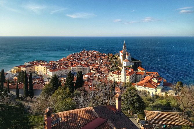 Postojna Cave, Predjama Castle and Piran Tour From Ljubljana - Postojna Cave Experience