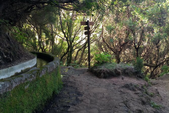 PR6 25 Fountains/Risco Guided Levada Walk and Transfer - Health and Accessibility Notes