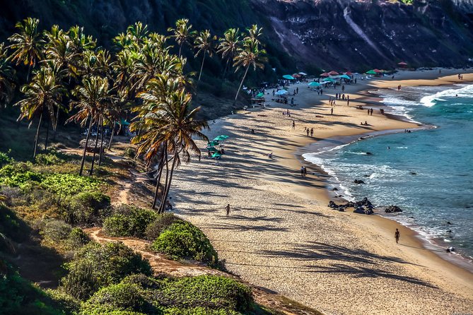 Praia De Pipa Private Transfer From Natal Airport - Pickup Arrangements and Coordination