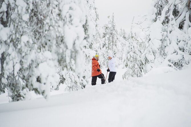 Premium Snowshoeing in Pyhä-Luosto National Park - Meeting and End Point