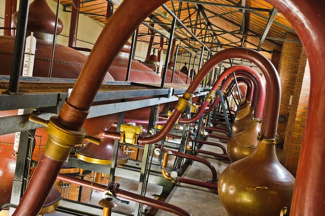 Prestige Tour and Cognac Tasting - Cognac Production Insights