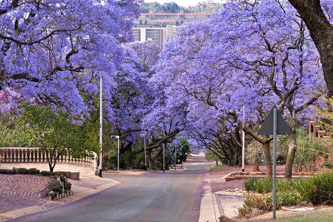 Pretoria Sightseeing Day Trip From Johannesburg - Transportation Options