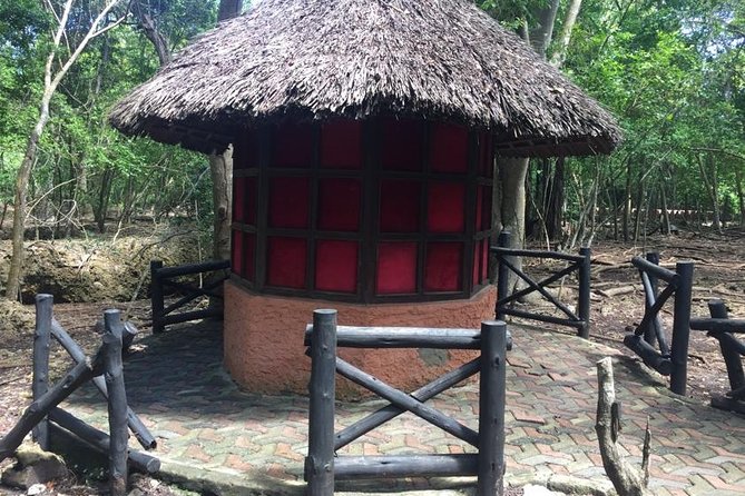 Prison Island and Nakupenda Private Tour - Full Day + Seafood Buffet - Pricing Details
