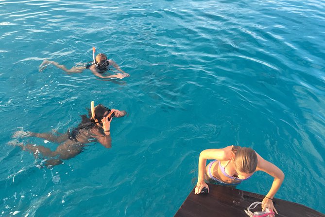 Private 1/2 Day Morning Charter Snorkel or Cruise on Shady Grady - Included Amenities