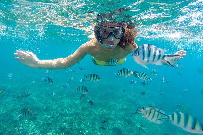 Private 2-Hour Tour in Nassau - Inclusions