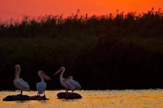 Private 3-Day Tour Danube Delta Birdwaching and Safari Experience From Bucharest - Accommodation and Amenities