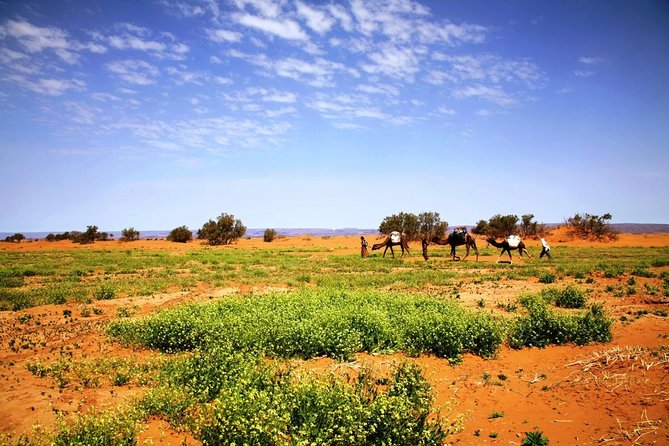 Private 3-Days Desert Tour From Zagora to Erg Chigaga Dunes & Camel Trek - Inclusions of the Tour
