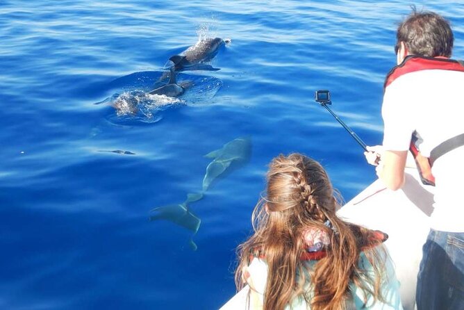 Private 4-Hour Speedboat Tour in the Read Sea From Hurghada - Transfer Information