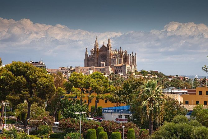 Private 4-Hour Tour of Palma De Mallorca W/ Driver & Guide (Hotel/Port Pick Up) - Accessibility and Requirements