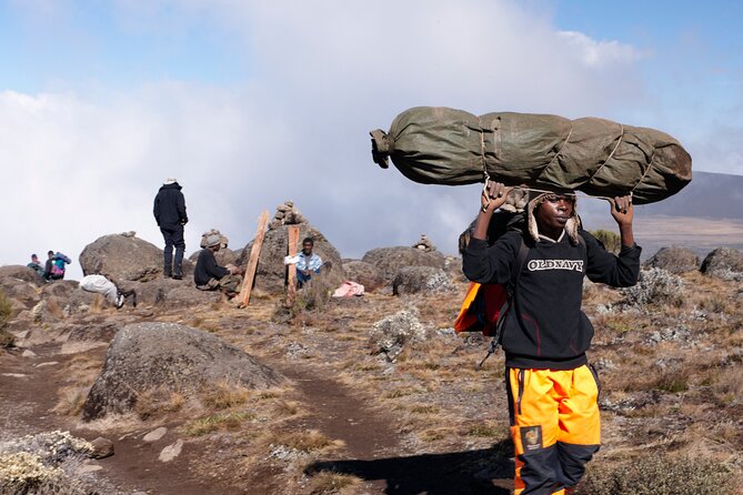 Private 8 Day Northern Circuit Kilimanjaro Climb - Pickup and Start Time
