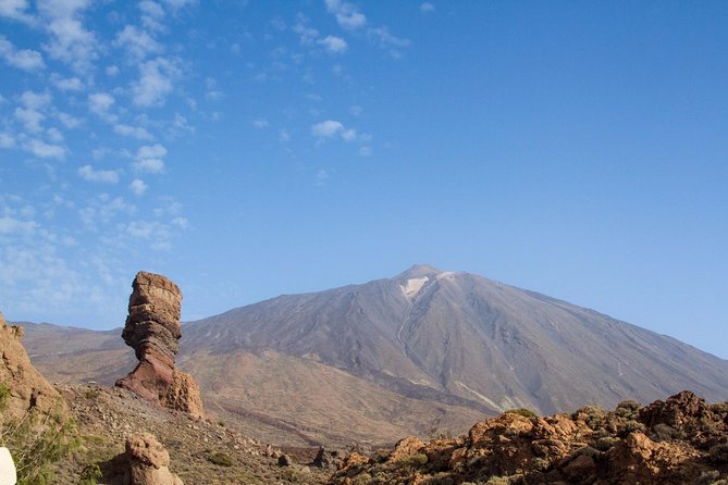 Private 8-Hour Shore Excursion to El Teide + Cable Car With Guide and Driver - Pricing and Cancellation