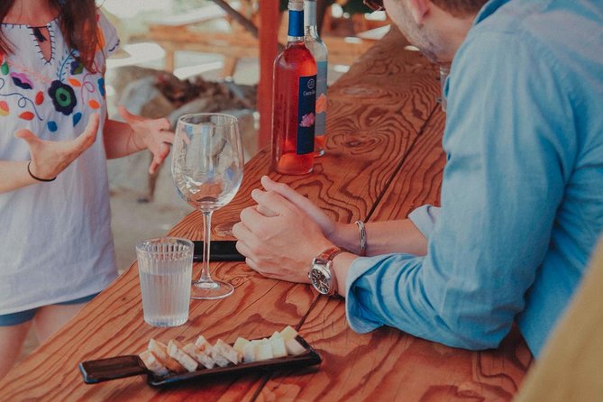 Private and Custom Group Wine Tour Valle De Guadalupe - Tour Experience and Customization