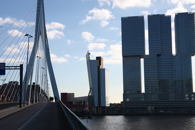 Private Architecture Tour of Rotterdam - Tour Overview