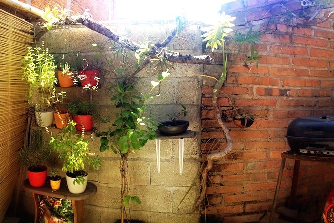 Private Authentic Mexican Cooking Class With a Local Chef Manuel - Class Details