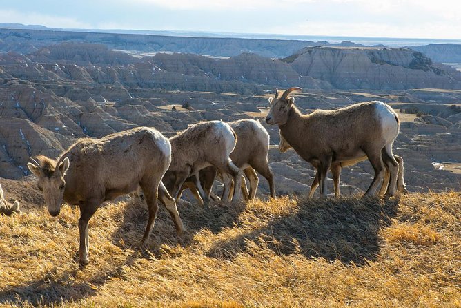 Private - Badlands Tour With Sunset/Stargazing - Inclusions and Amenities