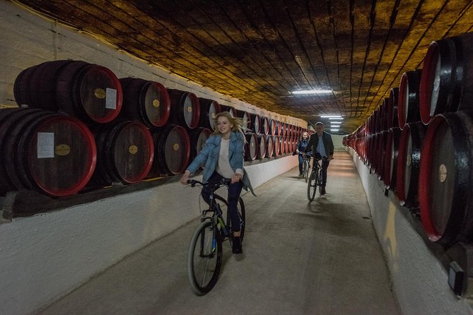 Private Bike Tour to Cricova Winery With Wine Tasting and Lunch - Itinerary Highlights