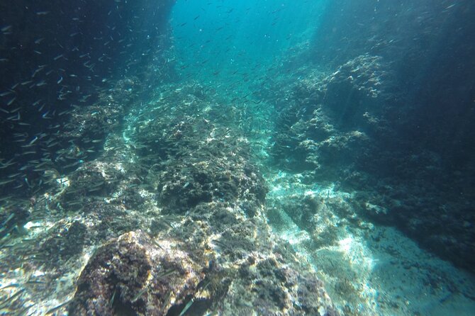 Private Blue Cave Tour-Half Day With a Speedboat - Booking Information