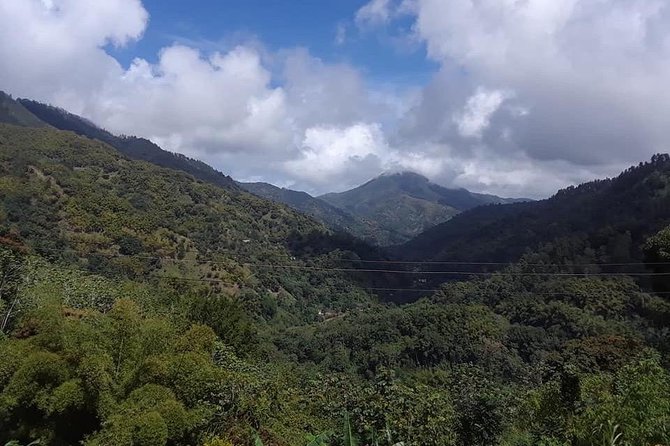 Private Blue Mountain Tour From Ocho Rios - Itinerary Highlights