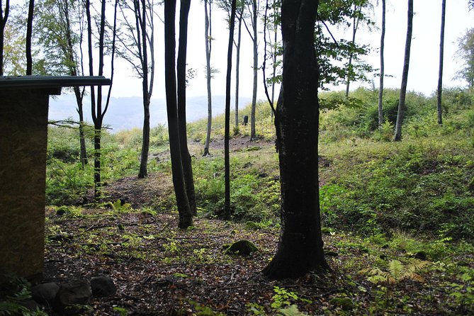 Private Brown Bear Watching Tour From Praid - Inclusions