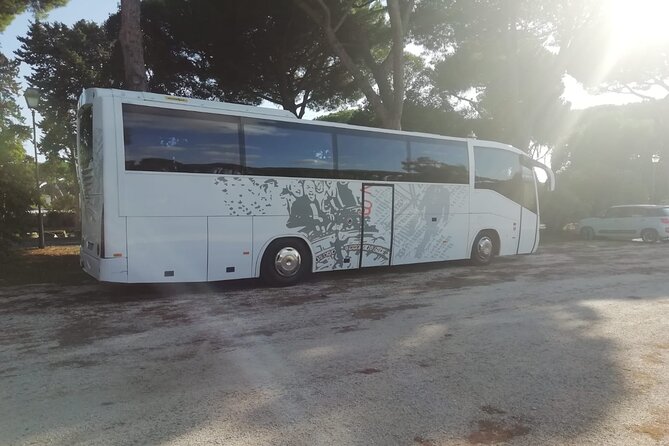 Private Bus From Chioggia Cruise Port to Venice Hotels+Water Taxi - Transportation Details