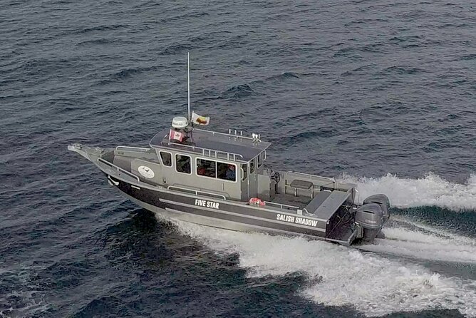 Private Charter - Marine Adventure and Whale Watching - Meeting Details