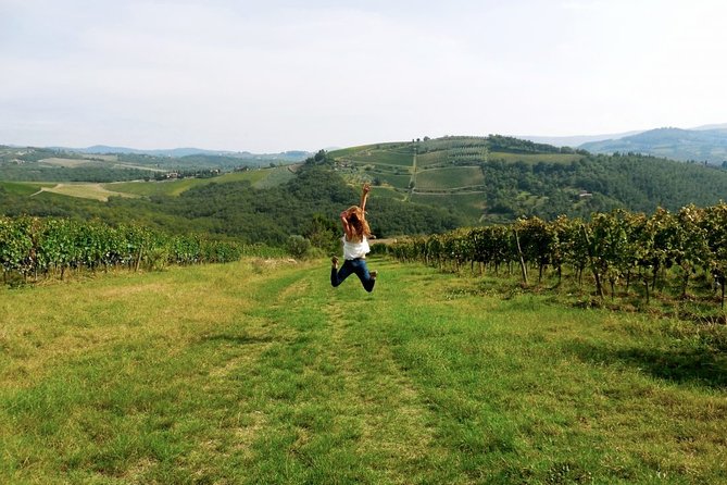 Private Chianti and Supertuscan Tour 2 Wineries With Light Lunch From Livorno - Exploring the Chianti Region