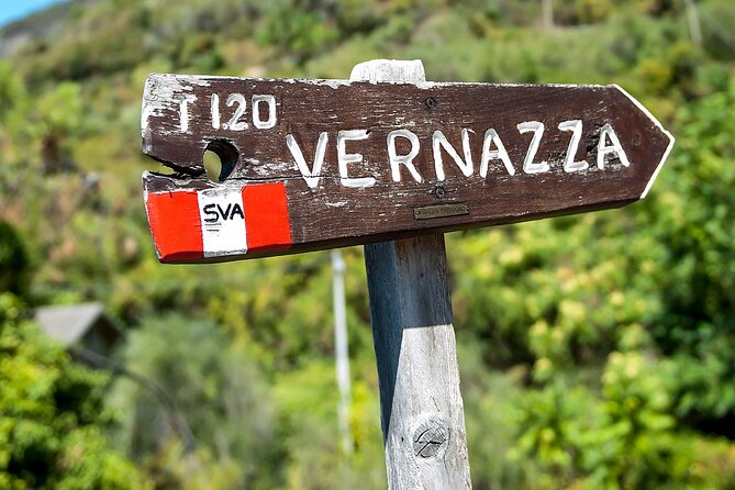 Private Cinque Terre Tour​ From Florence With Optional Hiking - Health and Accessibility Considerations