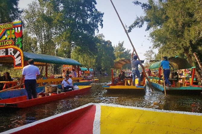Private City Tour in Frida Kahlo, Coyoacan, and Xochimilco - Tour Experience and Feedback