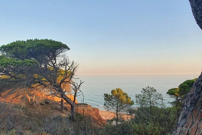 Private City Tour of Albufeira - Transportation and Meeting Details