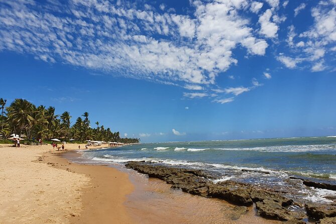 Private Coconut Coast & Praia Do Forte Tour - From Salvador - Pickup and Confirmation