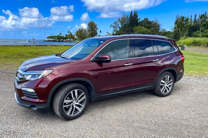 Private Custom Van Full-Day Guided Tour on Big Island of Hawaii - Accessibility and Booking Information