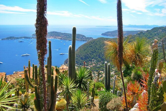 Private Customized French Riviera Tour From Port Villefranche 8H - Tour Experience and Highlights