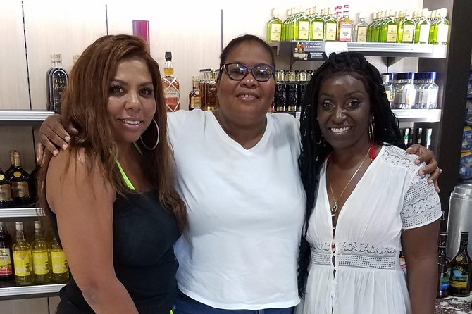 Private Customized Tour to Ocho Rios From Runaway Bay - Tour Details