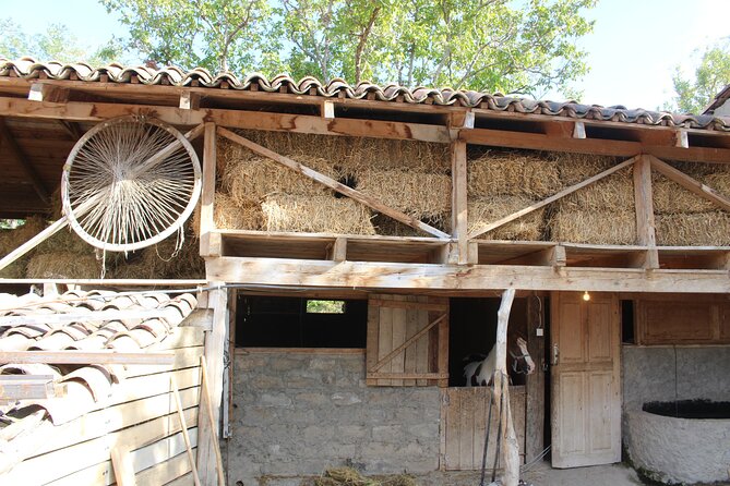 Private Day Horse Riding Trip to Sighnaghi With Lunch and Wine/Beer. - Guided Tour of the Countryside