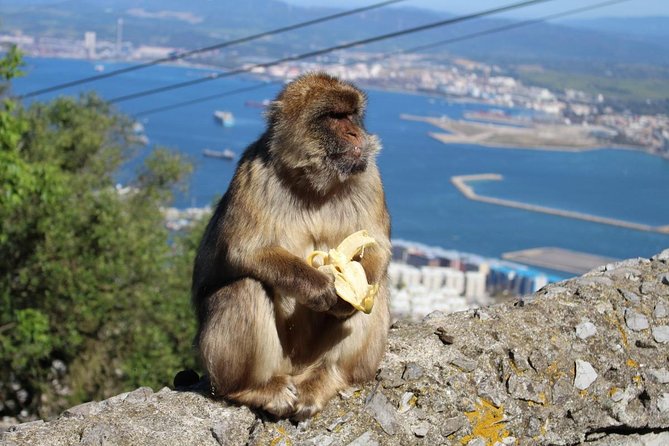 Private Day to Gibraltar From Marbella or Marbella - Inclusions and Exclusions