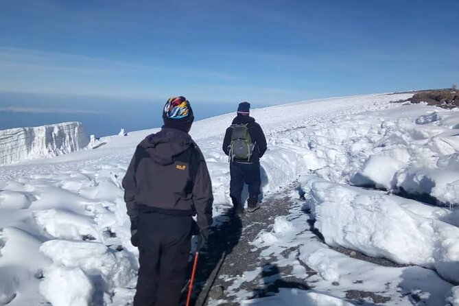 Private Day Tour and Hike in Kilimanjaro National Park - What to Expect on the Hike