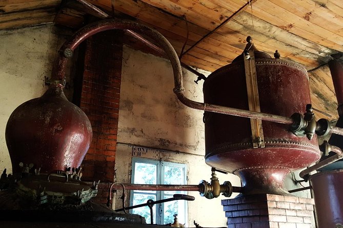 Private Day-Tour From Angouleme: Facets of Cognac : Vine to Glass - Cognac Tasting: Uncovering Aromatic Delights