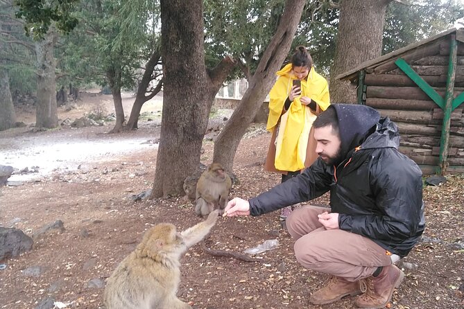Private Day Tour From Fez to the Middle Atlas - Booking Details