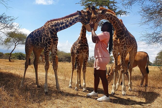 Private Day Tour in Serval Wildlife and Kikuletwa Hot Spring - Kikuletwa Hot Spring Discovery