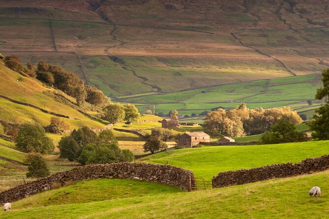 Private Day Tour in Yorkshire Dales, Fell, Valley and Castle - Transportation and Accessibility