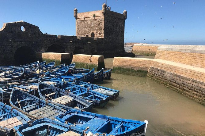 Private Day Tour To Essaouira - Essaouira Highlights