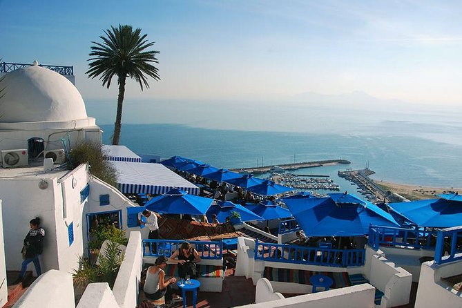 Private Day Tour Tunis Medina Carthage Sidi Bou Said Bardo Museum - Pickup and Meeting Details