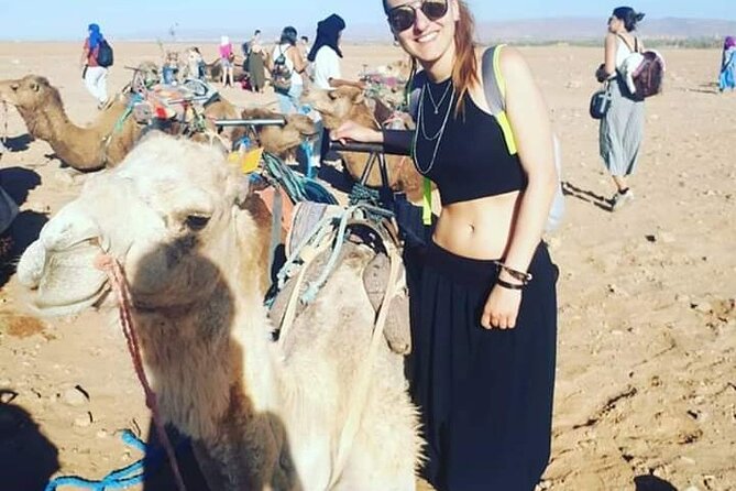 Private Day Trip to Marrakech From Casablanca - Pickup and Accessibility
