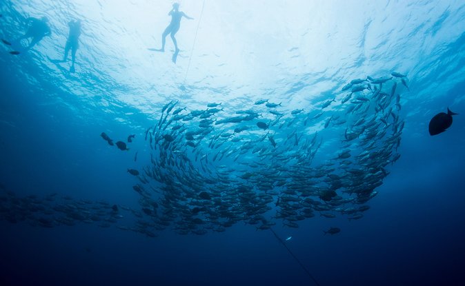 Private Day Trip to San José & Cabo San Lucas - Inclusions
